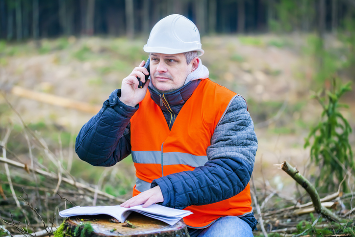 consulting-utility-forester-what-is-it-and-how-to-become-one
