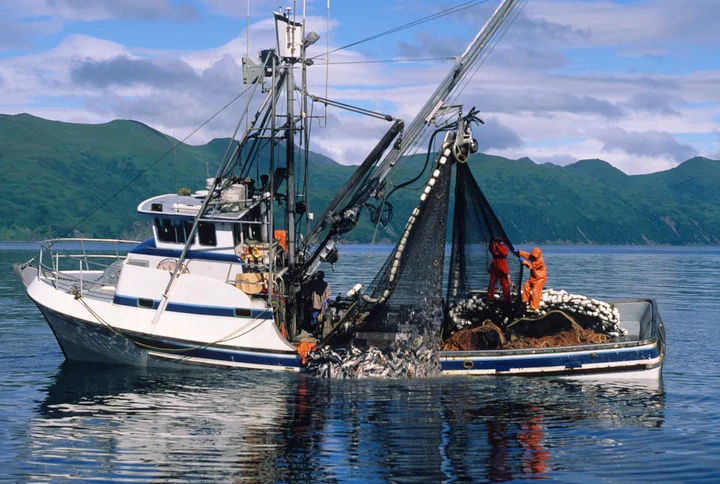 Commercial Fishing Jobs - What Are They and How to Get One