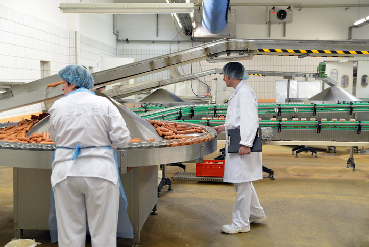 food safety auditor food safety auditor