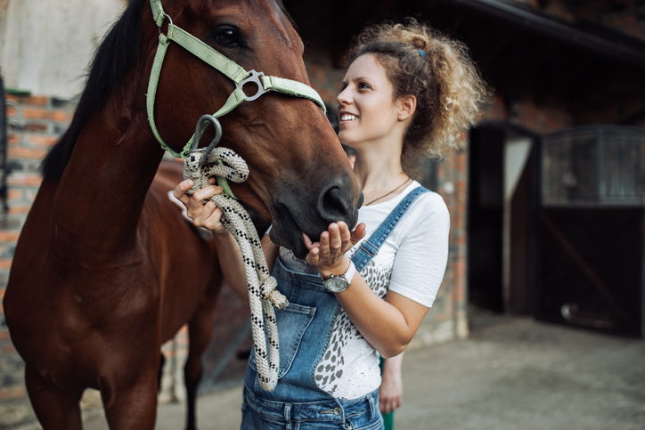 Stable Hand What Is It And How To Become One Ziprecruiter