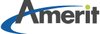 Amerit Consulting's Logo