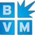 Best Version Media - Logo