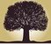 Sunol Creek Memory Care's Logo