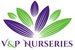V&P Nurseries - Logo