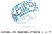 World Services LLC - Logo