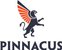 Pinnacus - Logo