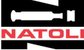 Natoli Engineering - Logo