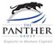 The Panther Group - Logo