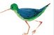 Sandpiper Hospitality - Logo