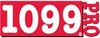 1099 Pro, Inc. - Logo