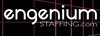 Engenium Staffing Inc - Logo