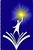 Victory Starts Now - Logo
