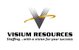 Visium Resources, Inc. - Logo