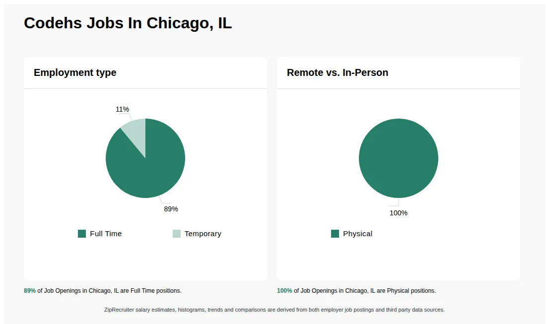 Infographic showing various job openings at Codehs in Chicago, IL as of May 2026, with employment types broken down into 89% Full Time, and 11% Temporary. Highlights an 100% Physical job distribution.