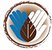 Community Agroecology Network - Logo