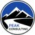 Peak Consulting, Inc - Logo