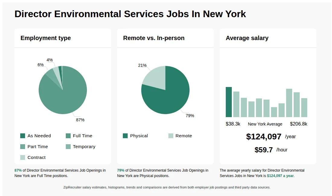 Infographic showing various Director Environmental Services job openings in New York as of May 2026, with employment types broken down into 2% As Needed, 87% Full Time, 6% Part Time, 1% Temporary, and 4% Contract. Highlights an 79% Physical, and 21% Remote job distribution, with an average salary of $124,097 per year, or $59.7 per hour.