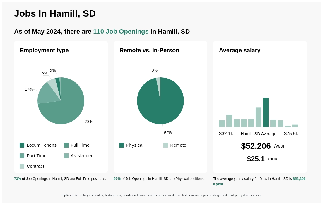 Infographic showing 110 job openings in Hamill, SD as of May 2024, with employment types broken down into 3% Locum Tenens, 73% Full Time, 17% Part Time, 1% As Needed, and 6% Contract. Highlights an 97% Physical, and 3% Remote job distribution, with an average salary of $52,206 per year, or $25.1 per hour.