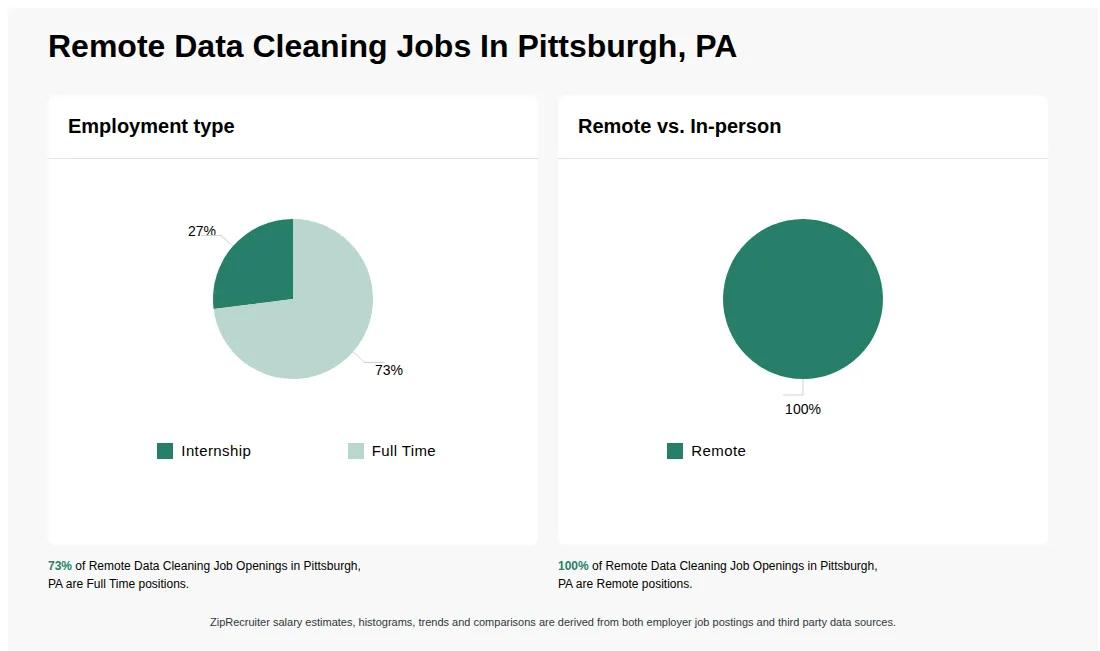 Infographic showing various Remote Data Cleaning job openings in Pittsburgh, PA as of May 2026, with employment types broken down into 27% Internship, and 73% Full Time. Highlights an 100% Remote job distribution.