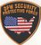 DFW Security Protective Force - Logo