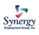Synergy Employment Group Inc. - Logo