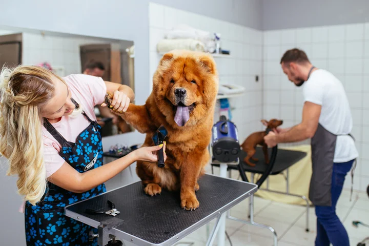 Groomer Job Description Sample Template | ZipRecruiter