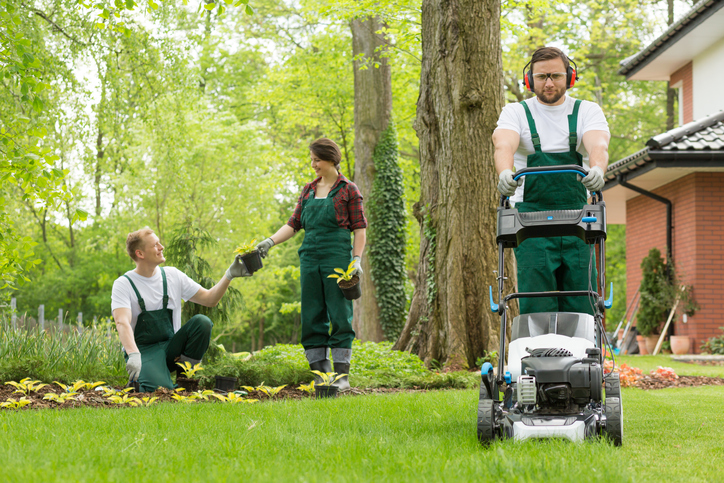 Grass Seeding