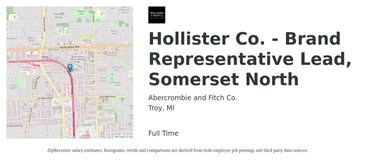 Abercrombie And Fitch Hollister Co Brand Representative Lead Somerset North Job Troy