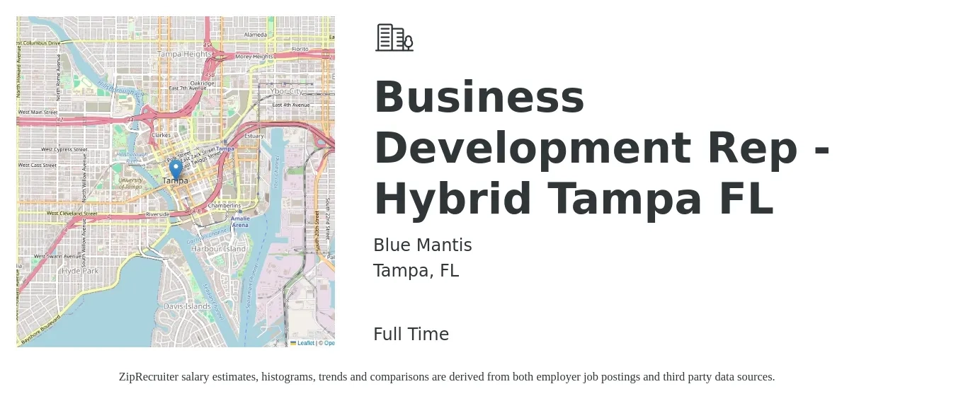 Blue Mantis job posting for a Business Development Rep - Hybrid Tampa FL in Tampa, FL with a salary of $42,500 to $66,200 Yearly with a map of Tampa location.