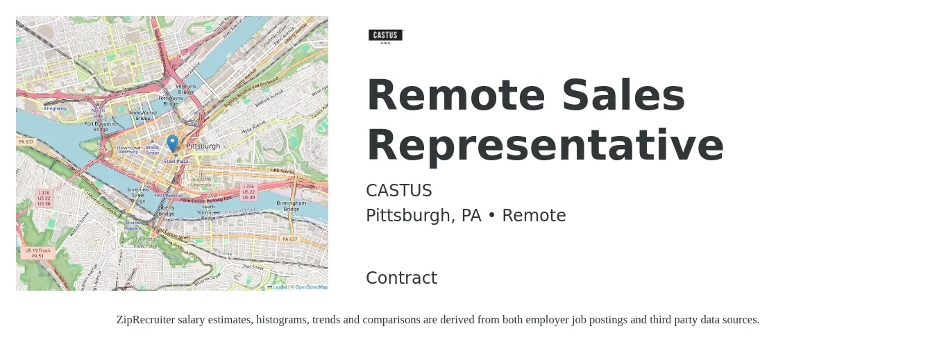 CASTUS job posting for a Remote Sales Representative in Pittsburgh, PA with a salary of $51,900 to $90,300 Yearly with a map of Pittsburgh location.
