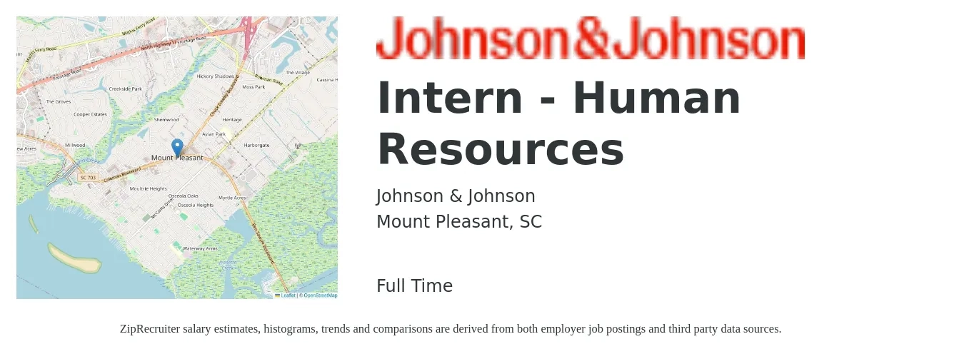 Johnson & Johnson job posting for a Intern - Human Resources in Mount Pleasant, SC with a salary of $14 to $19 Hourly with a map of Mount Pleasant location.
