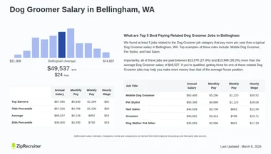 Average Pay for Dog Groomer: Unveiling Salary Insights