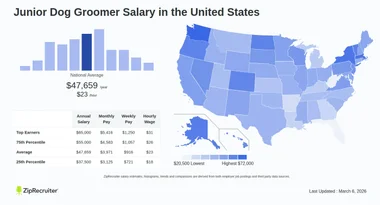 Average Pay for Dog Groomer: Unveiling Salary Insights